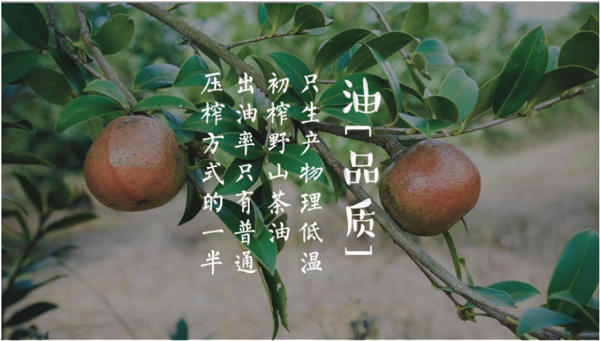 微信图片_20181119215609.png