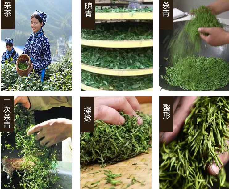 狗牯脑绿茶制作过程.jpg